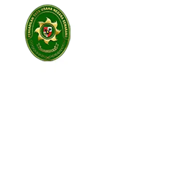 apps_esurvei